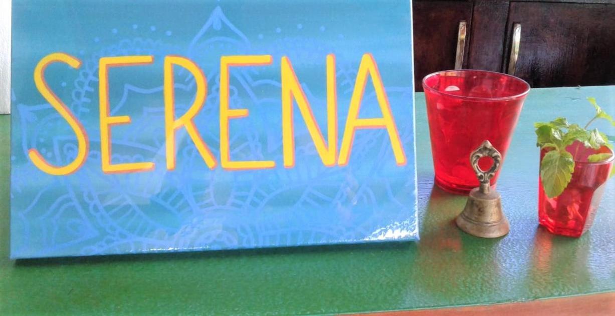 Serena Morro Morro de São Paulo Zewnętrze zdjęcie